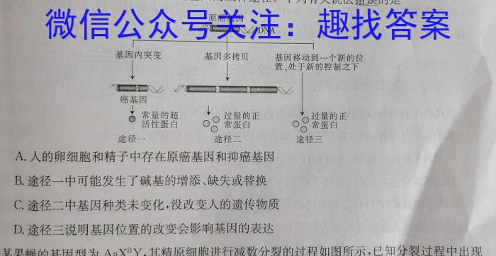 衡水金卷先享题2024答案调研卷(湖南专版)四数学