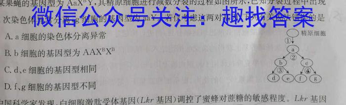 ［吕梁二模］山西省吕梁市2024年九年级第二次模拟考试数学