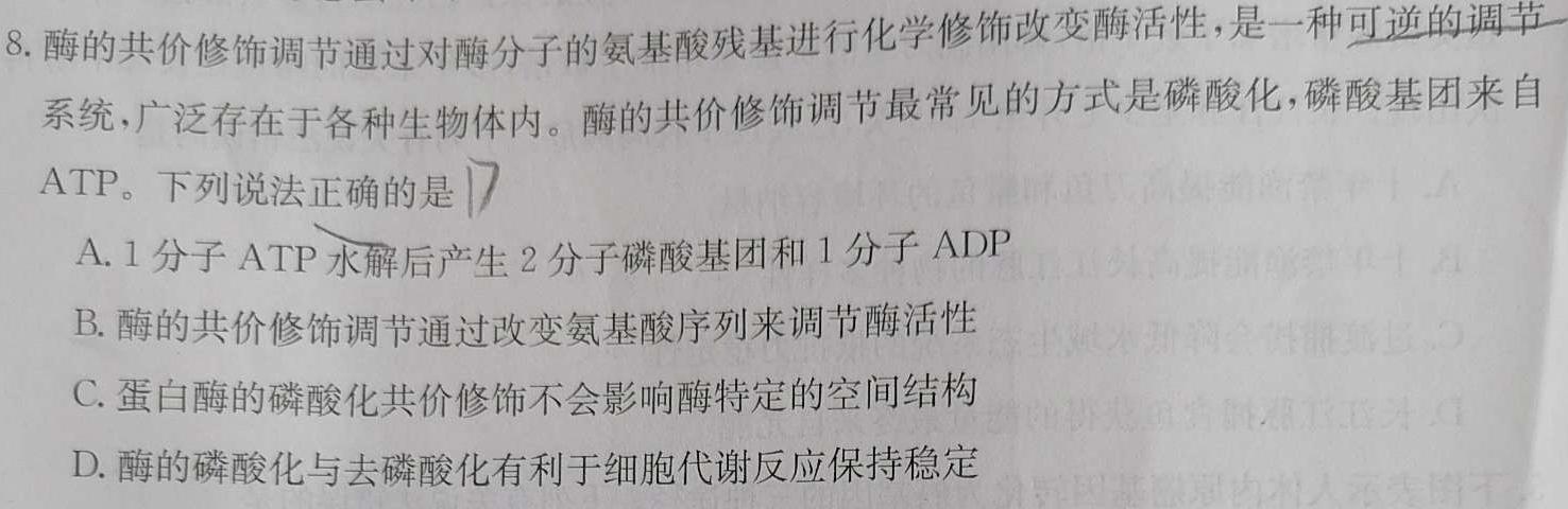 天一大联考·皖豫名校联盟2022-2023学年(下)高一年级阶段性测试(期末)数学考试