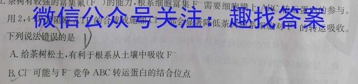 安徽省埇桥区教育集团2023-2024学年度第一学期八年级期末质量检测数学