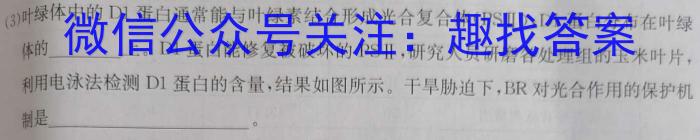 江西省2024年中考总复习·模拟卷(一)1数学