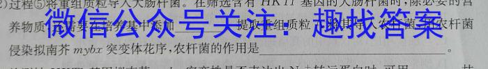 名师卷 2023届普通高等学校招生全国统一考试仿真模拟卷数学