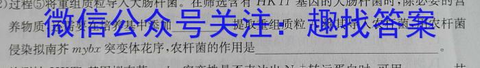 山西省2024年中考模拟示范卷（一）数学