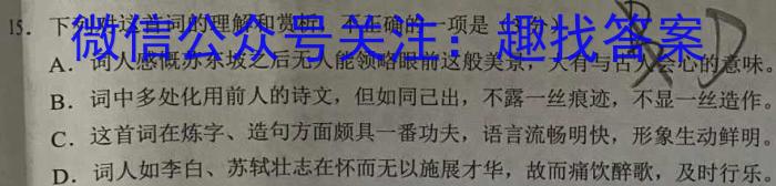 2022~2023学年利辛高级中学高二第二学期第四次质量检测(232809Z)语文