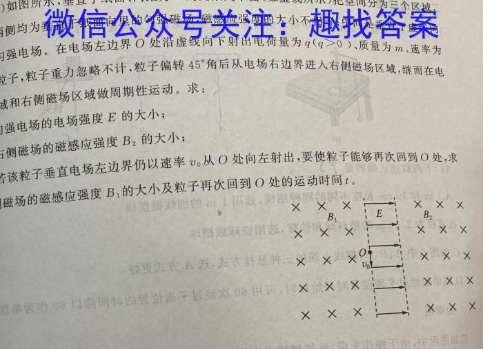 耀正文化(湖南四大名校联合编审)·2023届名校名师测评卷(九)9物理`