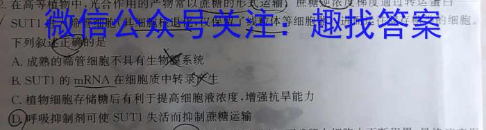 陕西省2023年七年级6月教学质量检测（☎）数学