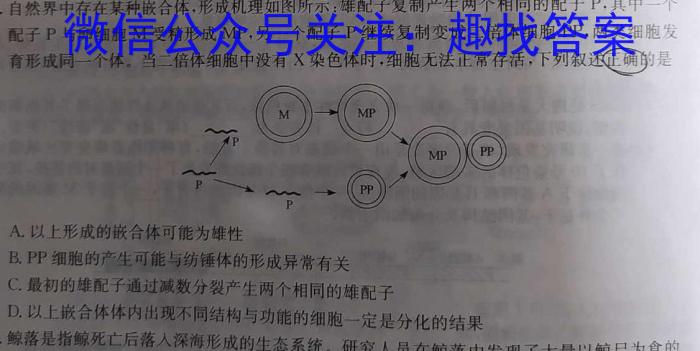 2023-2024衡水金卷先享题高三一轮复习单元检测卷/生物（新高考苏教版）3光合作用和细胞呼吸生物