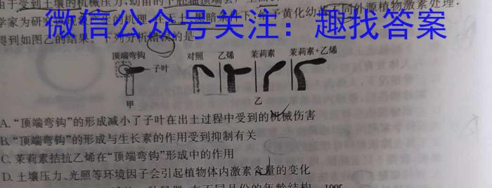 陕西省2023年高一年级期末测试卷（✿）数学