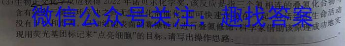 2023年新高考全国Ⅱ卷语文高考真题文档版（无答案）数学