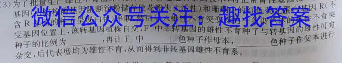 2023年殷都区九年级中招模拟考试数学