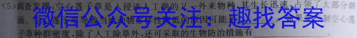 2023-2024学年度武汉市部分学校高三年级11月调研考试数学