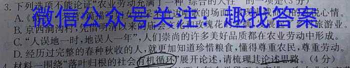 陕西省2023年九年级模拟检测卷B（正方形套菱形）语文