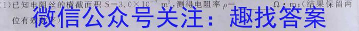 山西省2023届九年级考前适应性评估（三）（8LR）物理.