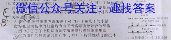 2023年广西示范性高中高二联合调研测试(2023.6)数学