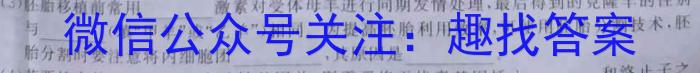 安徽省2024-2023学年度高二年级下学期期末学情检测(23101B)数学
