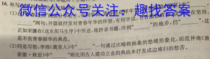 天一大联考 2023年普通高等学校招生考前专家预测卷(新教材版)语文