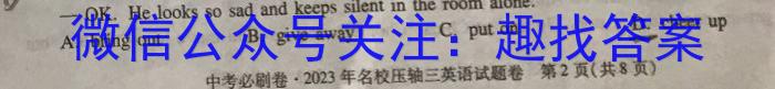 皖智教育安徽第一卷·省城名校2023年中考最后三模(二)英语