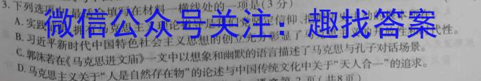 2023年河北省初中毕业升学仿真模拟考试（二）语文