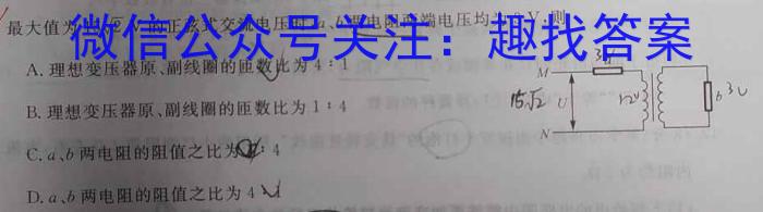 湖北省2023年普通高等学校招生全国统一考试模拟试题(三)l物理