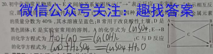 安徽第一卷·2022-2023学年安徽省七年级教学质量检测(七)化学