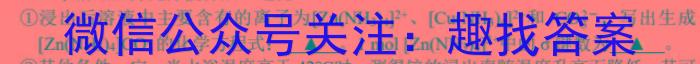 山西省2022-2023学年七年级下学期期末质量监测（23-CZ271a）化学