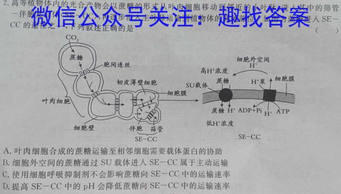 2024届衡水金卷先享题调研卷(福建专版)二数学