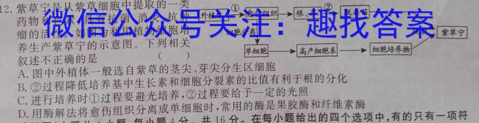 海南省临高县2023年九年级教学质量监测数学