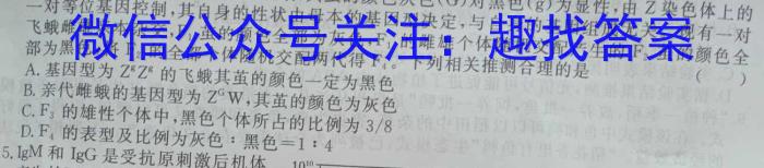 2024年衡水金卷先享题分科综合卷 A答案新教材二数学