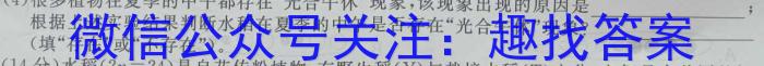 2024年广东省初中毕业生学业考试 模拟试卷(三)数学