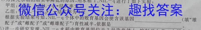 2024年河南省普通高中招生考试·终极B卷数学