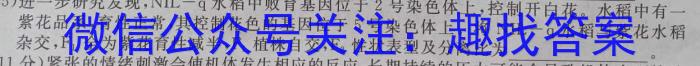 学普试卷 2024届高三第四次模拟试题(四)数学