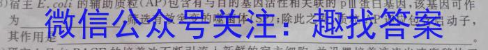 山东省泗水县2023-2024学年第一学期高二年级期中考试数学