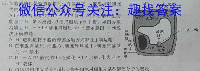 [启光教育]2023年河北省初中毕业生升学文化课模拟考试(二)(2023.5)生物试卷答案