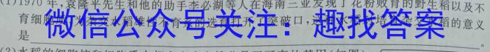 衡中同卷 2023-2024学年度上学期高三年级三调考试数学