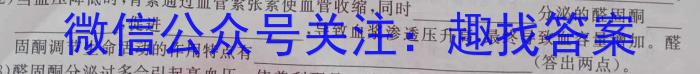 江西省2024届八年级《学业测评》分段训练（八）数学