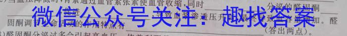 江西省2024届九年级第三次阶段适应性评估数学