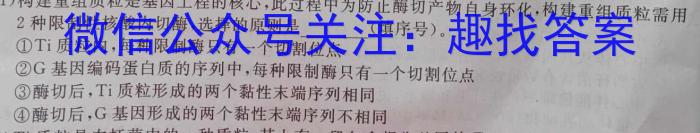 全国大联考2024届高三全国第一次联考 1LK-N数学