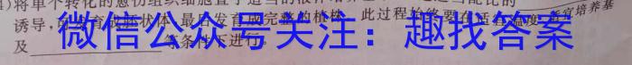 重庆市新高考金卷2024届全国Ⅱ卷适应卷(二)2数学