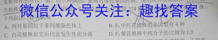 天一大联考 湖南省2024届高三4月联考数学