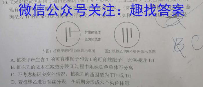 玉溪市通海一中、江川一中、易门一中三校2023-2024学年下学期六月联考（高一）数学