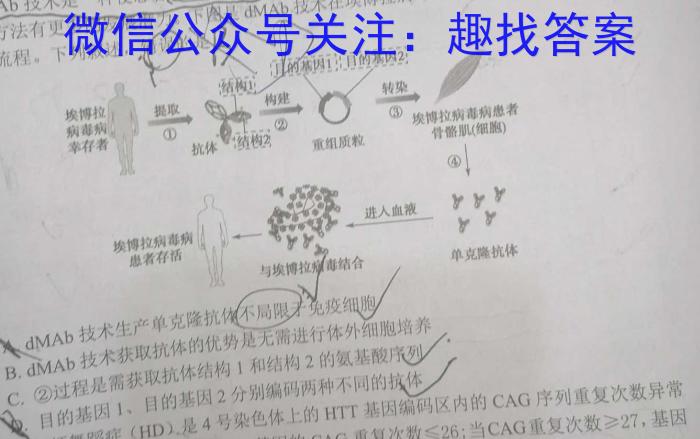 2023年陕西省初中学业水平考试·模拟联考卷A数学