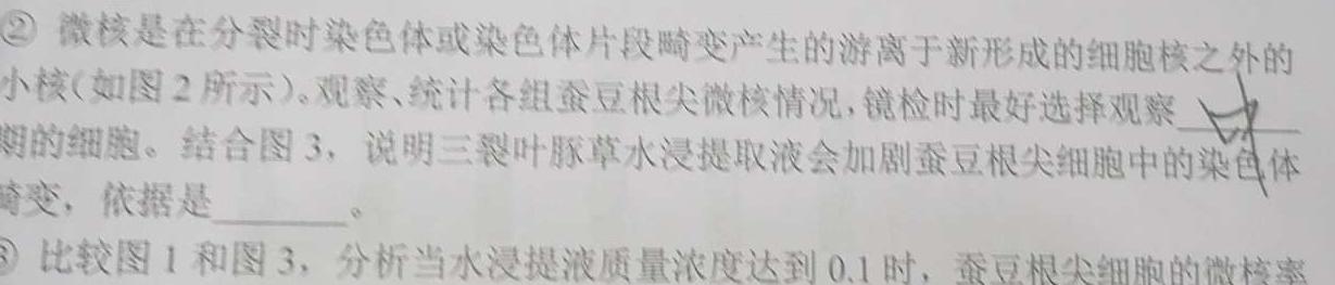 2023届高三5月联考(5004C)数学考试