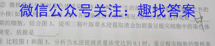 安徽省2024年名校之约大联考·中考导向压轴信息卷(5月)数学