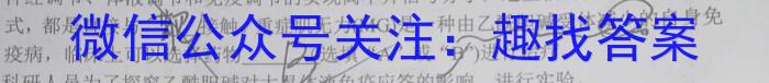 广东省汕尾市2023-2024学年度第一学期高中一年级教学质量监测数学