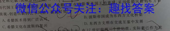 天一大联考 2023年九年级考前定位考试历史