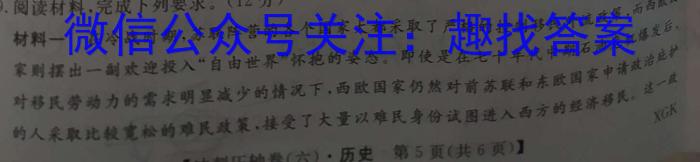 2023年江西省初中学业水平考试 定心卷历史