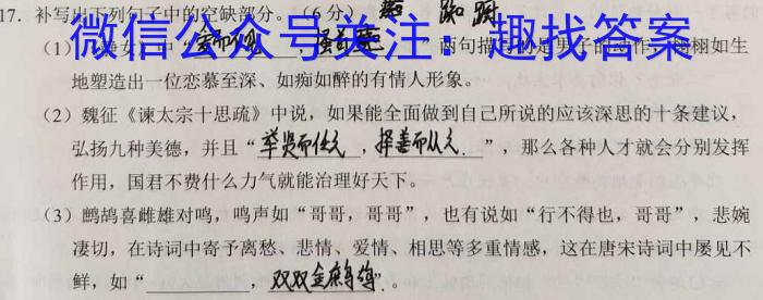 安徽省2023届九年级下学期教学评价三语文