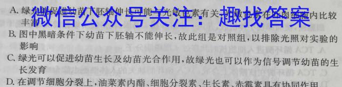 江西省2024-2023学年度九年级阶段性练习（七）数学