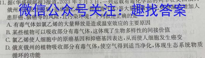 2023年高考真题（新课标I卷）数学试卷 （word版）数学