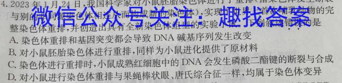 ［内江三诊］内江市高中2024届第三次模拟考试数学